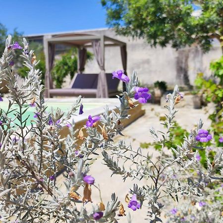 Masseria Asteri B&B 캔노어 외부 사진