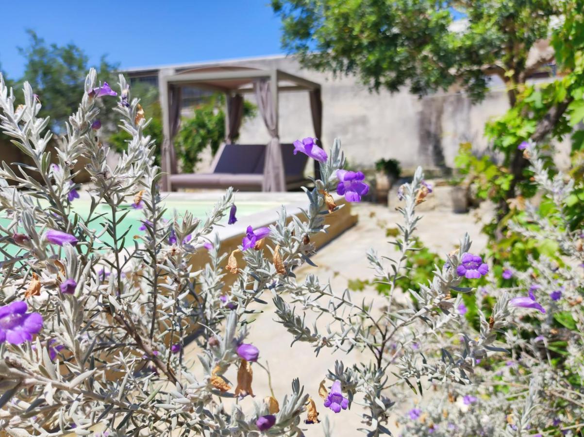 Masseria Asteri B&B 캔노어 외부 사진